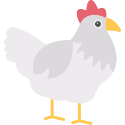 poule Icône