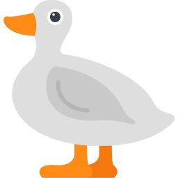 Duck icon