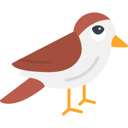 Sparrow icon