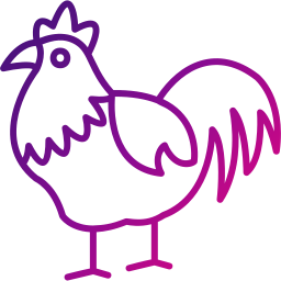 Chicken icon