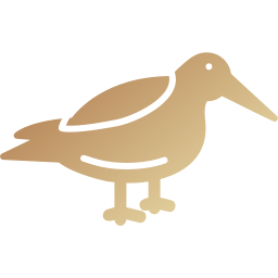 Dunlin icon