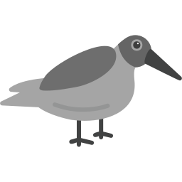 dunlin ikona