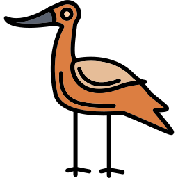 Avocet icon