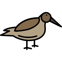 dunlin Ícone