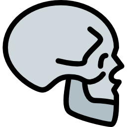 Skull icon