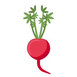 Radish icon