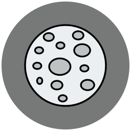 Moon icon