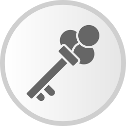 Key icon