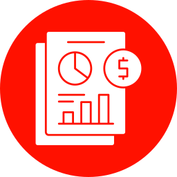 Income statement icon