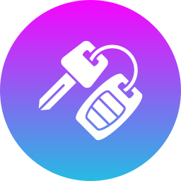 smart key icon