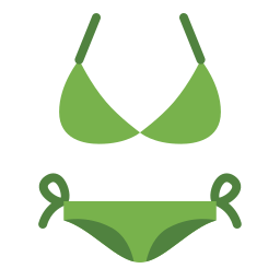 bikini Icône