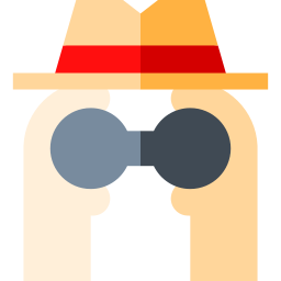 Spy icon