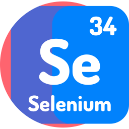 selenium icoon
