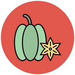 Carambola icon