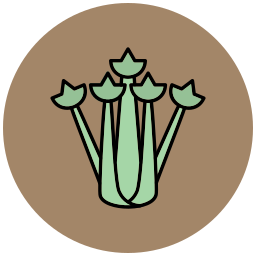 сельдерей иконка