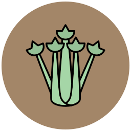 sellerie icon