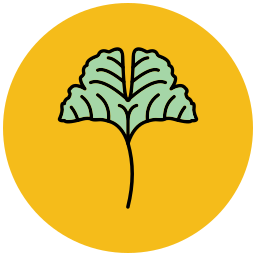 ginkgo icon