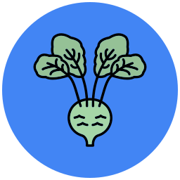 Kohlrabi icon