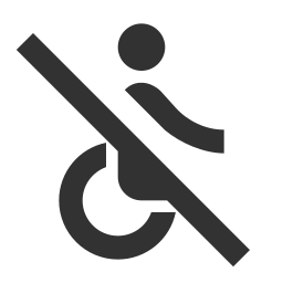 Accessible icon