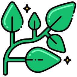 Marjoram icon