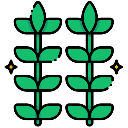 Тимьян иконка