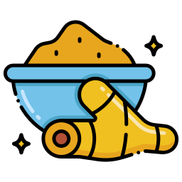 Turmeric icon