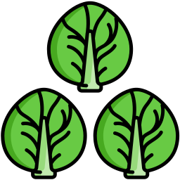 Brussel sprouts icon