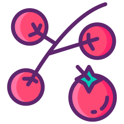 kirschtomate icon