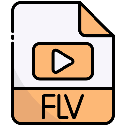 flv icoon