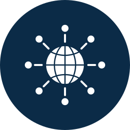 Network icon