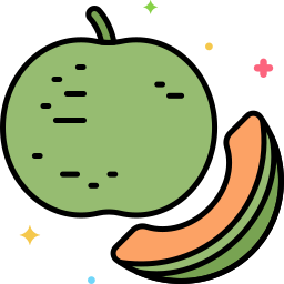 Cantaloupe icon