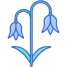 블루 벨 icon
