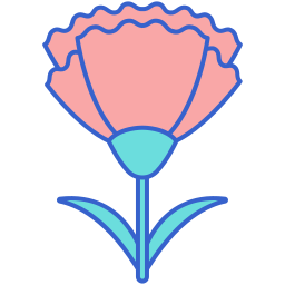 Carnation icon