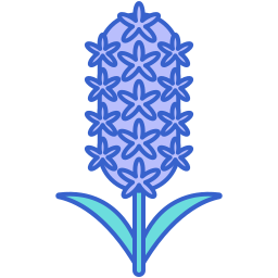hyacint icoon