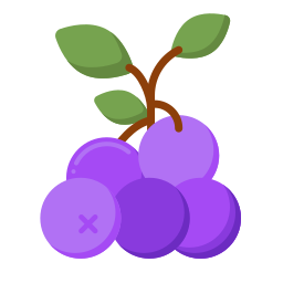 Blueberry icon