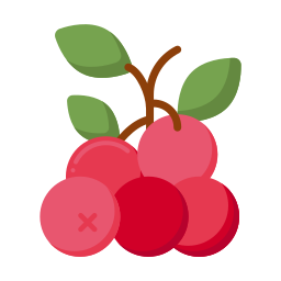 cranberry icon