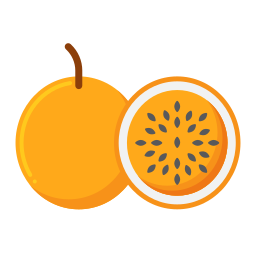 Passion fruit icon