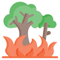 Burning Tree icon