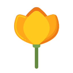 캘리포니아 양귀비 icon