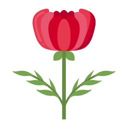 pivoine Icône