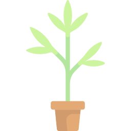 plant icoon