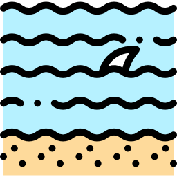 zee icoon