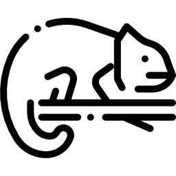 カメレオン icon