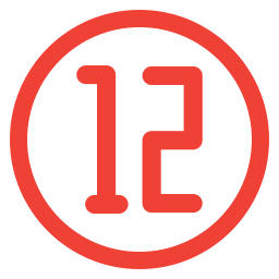 12 icon