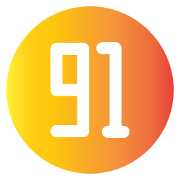 91 Ícone