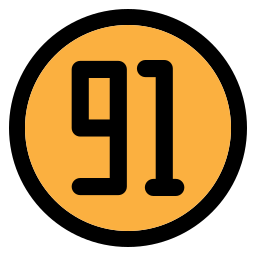 91 icono