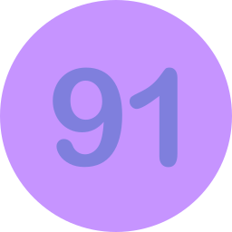 91 Ícone