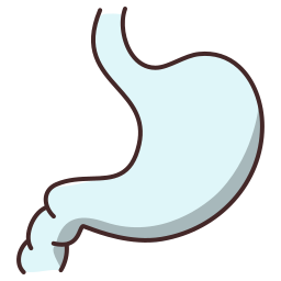 Stomach icon