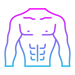 Chest  icon