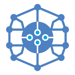 Network icon